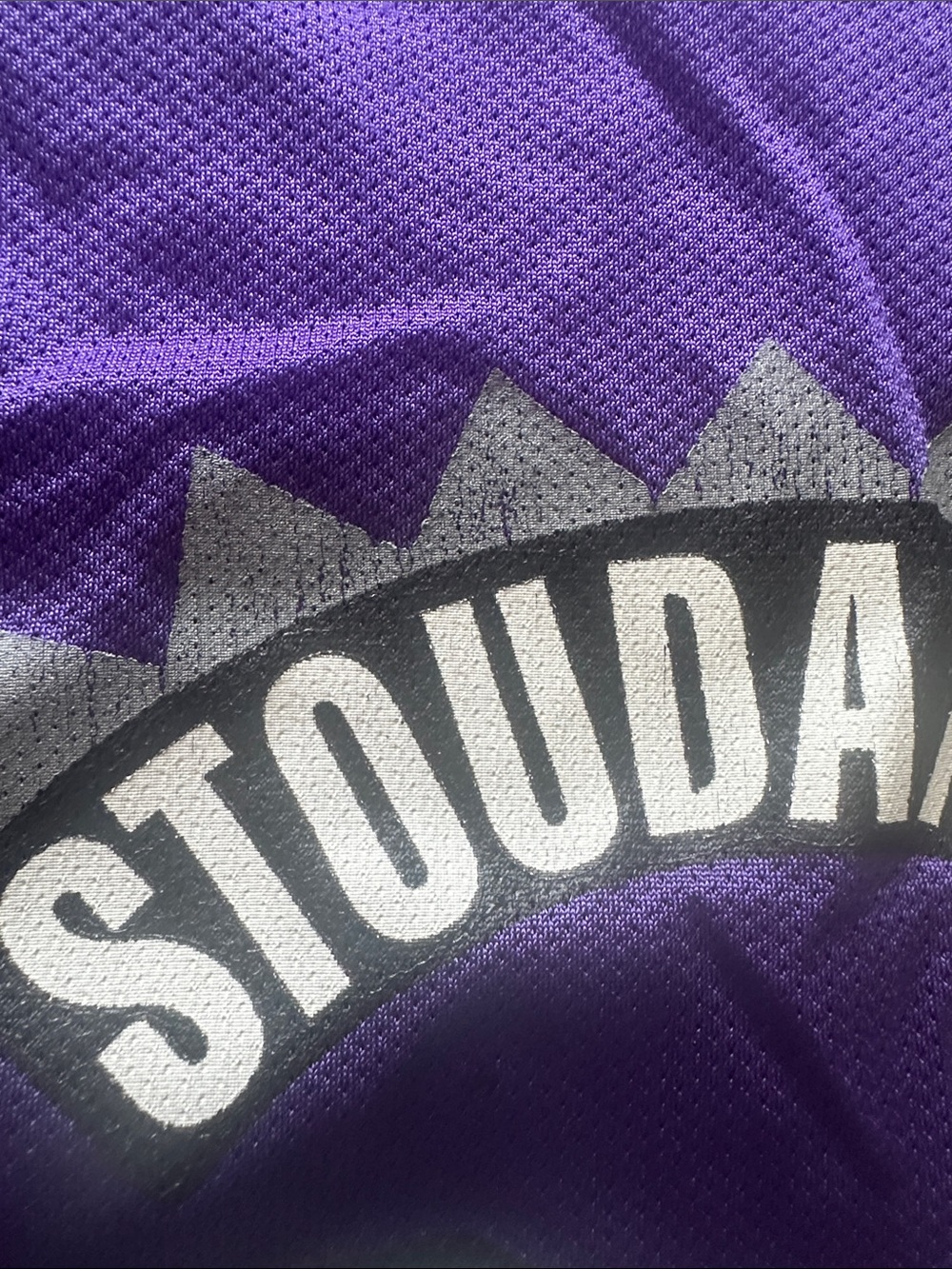 Z—Champion Purple Mesh Basketball Jersey with Red Accent - Picture 9 of 16